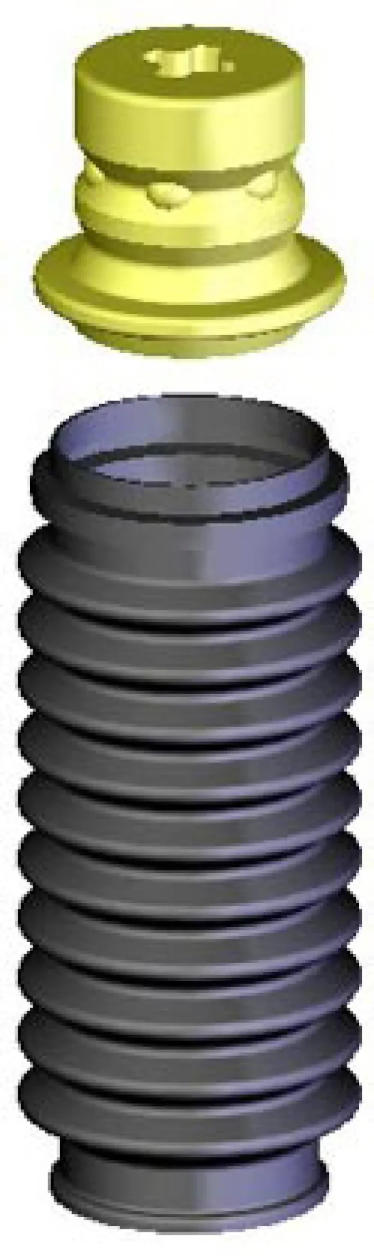 Kyb Shocks & Struts Strut Boots Front & Rear Acura Cl 1997-99 Acura Cl 2001-03 Acura El 1997-00 Acur 1