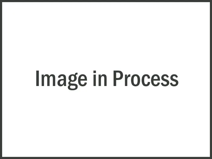 Wilwood Bracket (Ea) - Forged Dynalite To Honda/Acura - 240 Mm Rotor | 250-6290 1